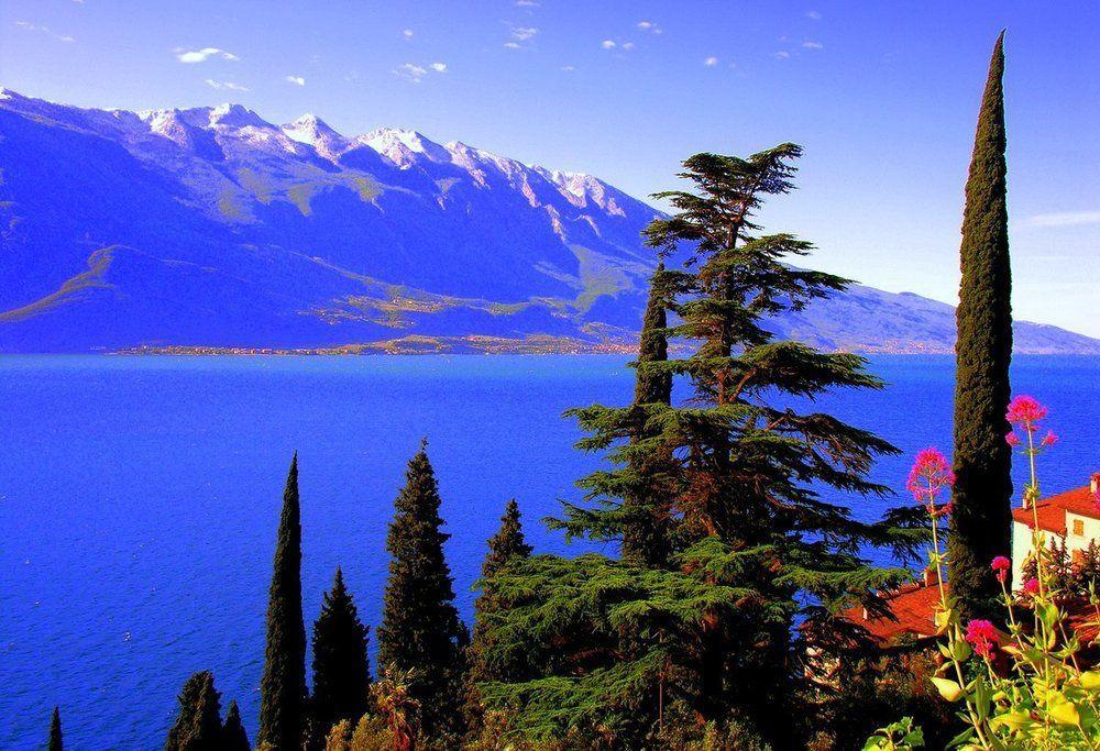 Dirce Hotel